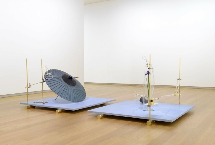 Dane Mitchell,  Iris, Iris, Iris,  2017 (installation view), Auckland Art Gallery Toi o  Tāmaki, 2018.