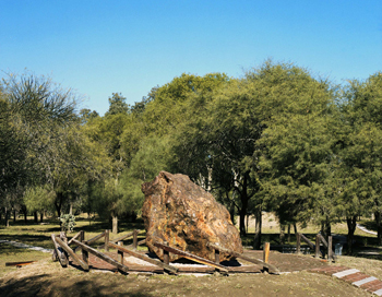 Faivovich & Goldberg, Retrato del meteorito El Chaco, de Campo del Cielo, 2006