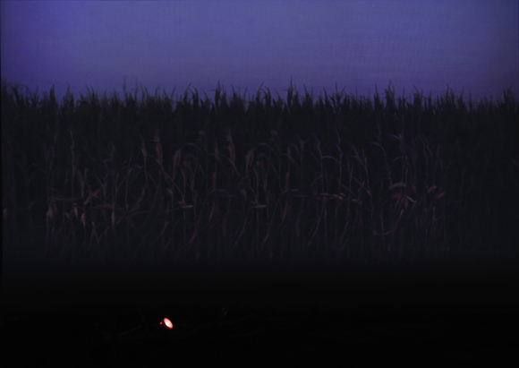 Silvano Tessarollo, If wheat never dies, 2012. Video, sounds, earth, bicycle, electric motor, water vaporizer, environmental installation. Courtesy Galleria Michela Rizzo, Venezia.