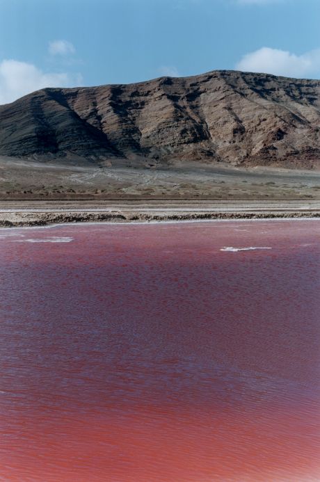 Wolfgang Tillmans, red lake, 2002 © Wolfgang Tillmans, courtesy Maureen Paley, London