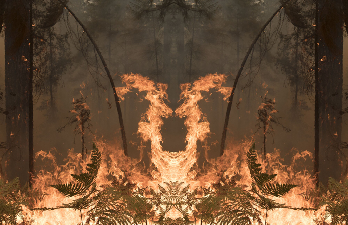 Julius von Bismarck,  Fire with Fire, 2020. Courtesy the artist; alexander levy, Berlin; Sies + Höke, Düsseldorf and Marlborough Gallery, London/New York. © the artist / VG Bild-Kunst, Bonn 2020 